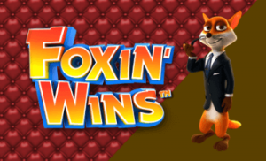 foxin wins